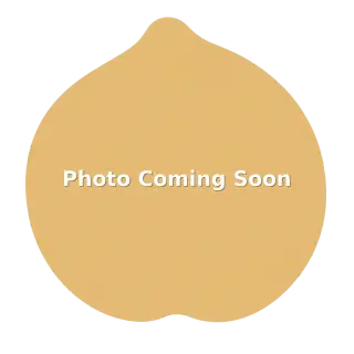 American Burger menu item